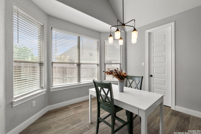 291 Strasbourg, Castroville, TX 78009 - dining room featuring wood finished floors, plenty of natural light, baseboards, and lofted ceiling