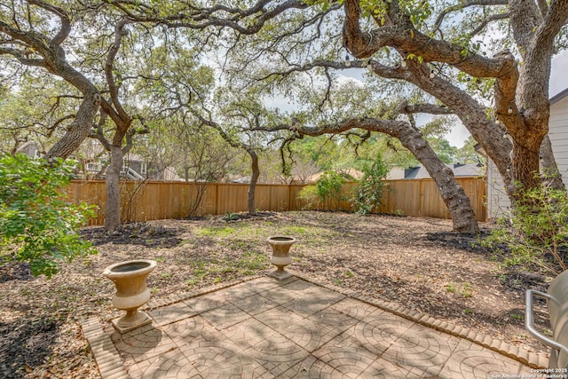 view of yard with a patio area and a fenced backyard
