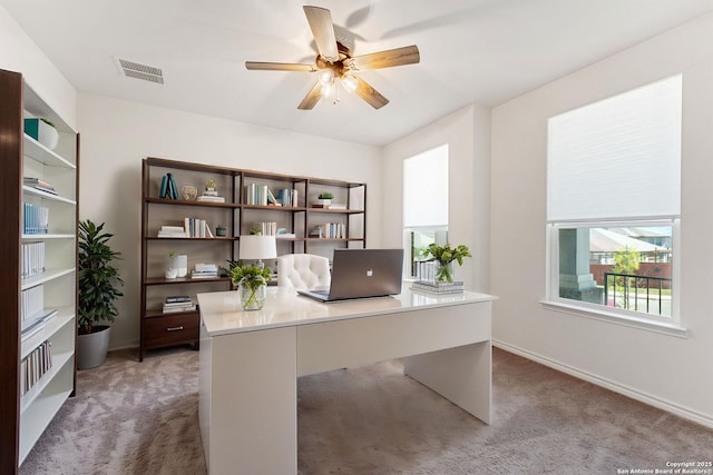 29991 Jove, Bulverde, TX 78163 - home office with light carpet, visible vents, and a healthy amount of sunlight