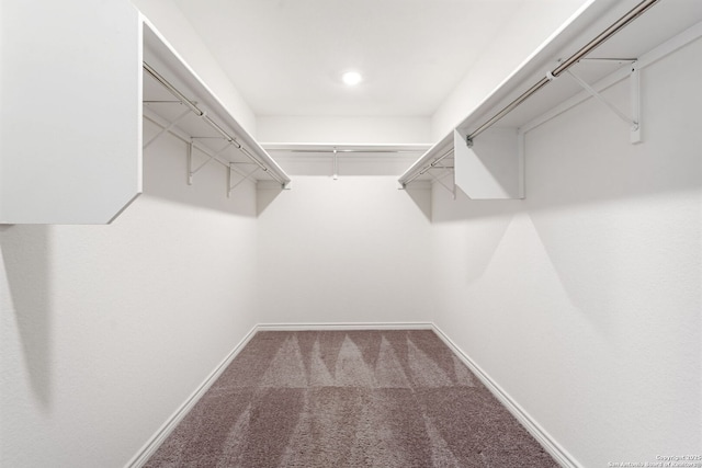 29991 Jove, Bulverde, TX 78163 - walk in closet featuring carpet flooring