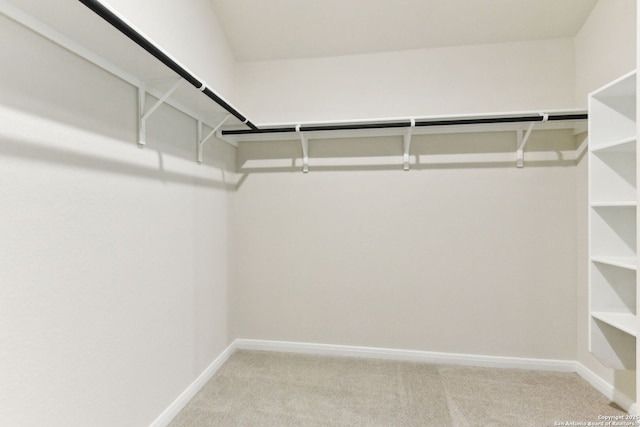 10214 King Robert, San Antonio, TX 78239 - spacious closet with light colored carpet