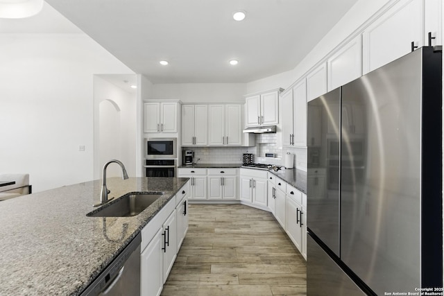 1105 Limestone, New Braunfels, TX 78132 - kitchen featuring light wood-style flooring, white cabinetry, under cabinet range hood, a sink, and stainless steel appliances