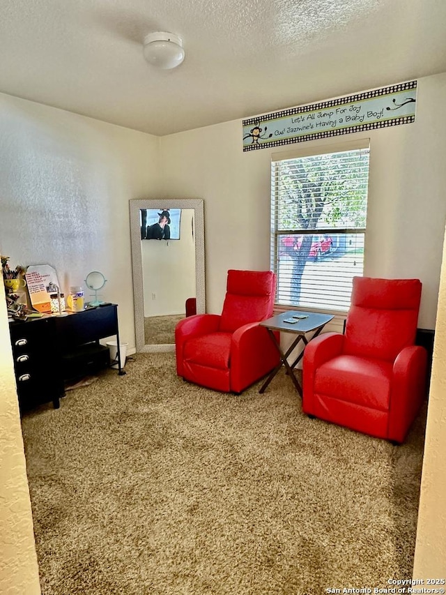 living area with carpet and a textured ceiling