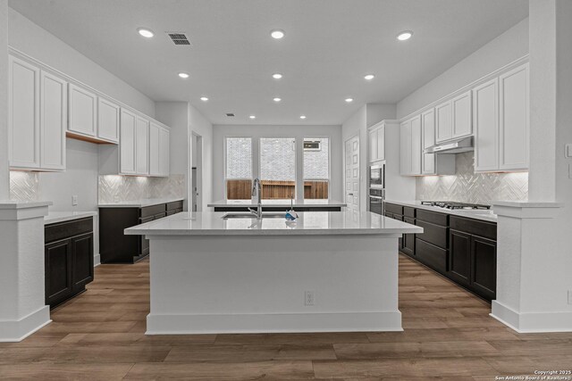 kitchen with an island with sink, under cabinet range hood, recessed lighting, and a sink