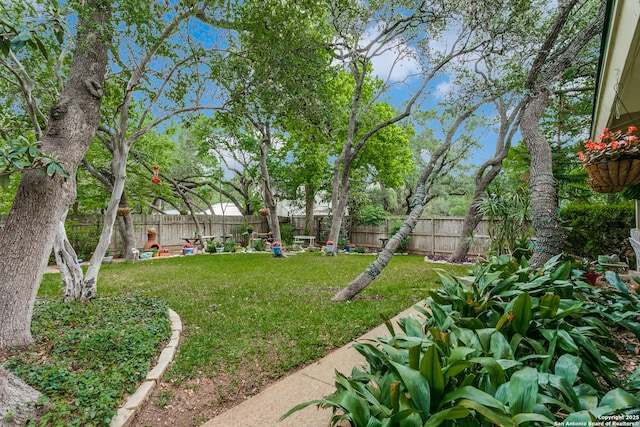 view of yard with a fenced backyard
