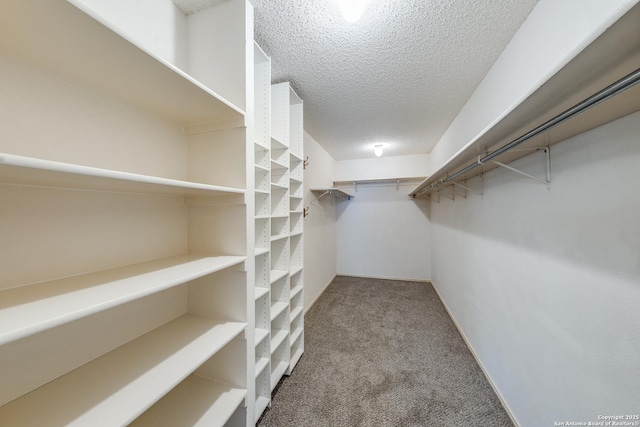 spacious closet with carpet floors