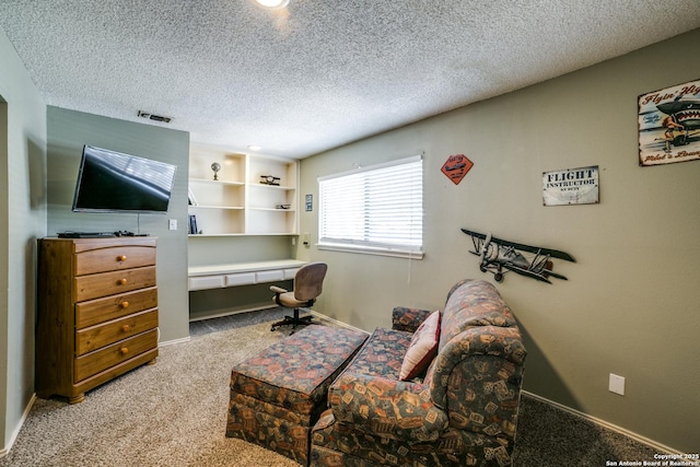 2910 Bee Cave, San Antonio, TX 78231 - living area featuring light colored carpet, a textured ceiling, and baseboards