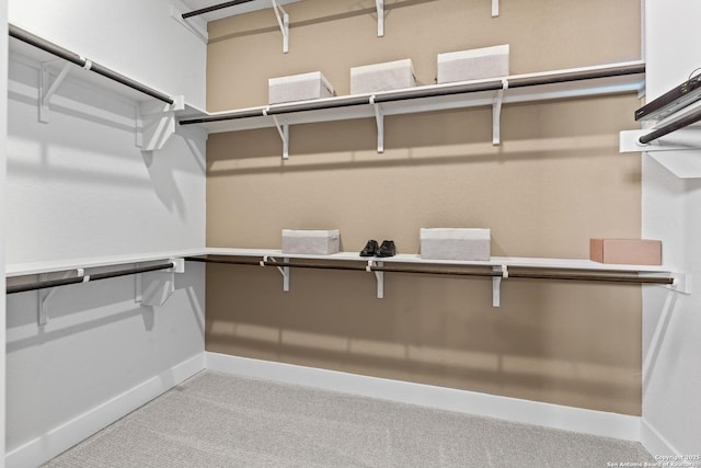 walk in closet with carpet