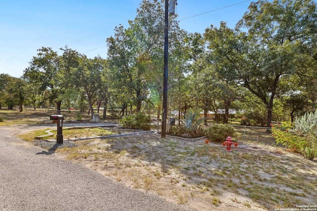 296 Wolf Ln, La Vernia, TX 78121 - exterior space