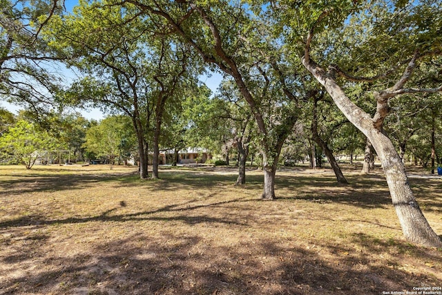 296 Wolf Ln, La Vernia, TX 78121 - view of yard