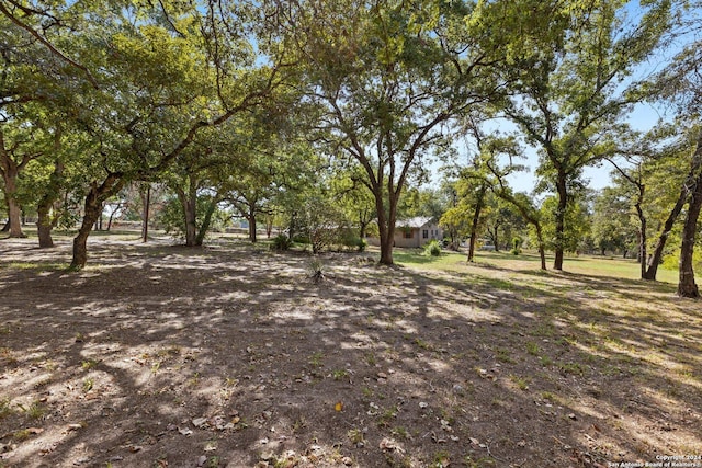 296 Wolf Ln, La Vernia, TX 78121 - view of yard