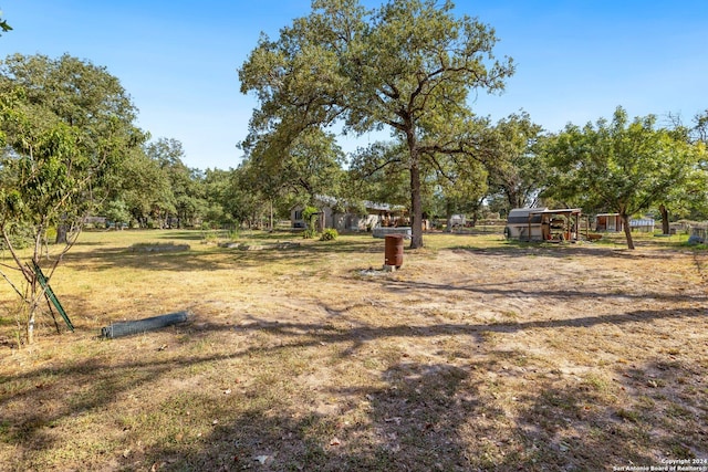 296 Wolf Ln, La Vernia, TX 78121 - view of yard