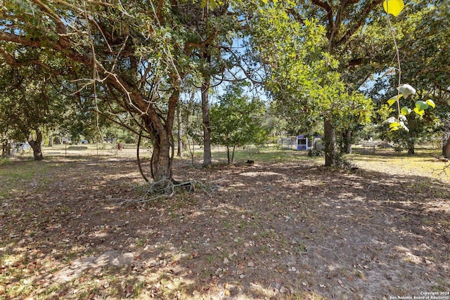296 Wolf Ln, La Vernia, TX 78121 - view of yard