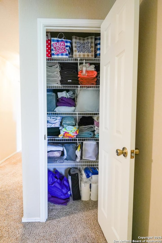 view of closet