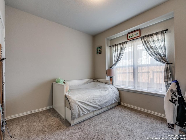 bedroom with carpet floors, baseboards, and multiple windows