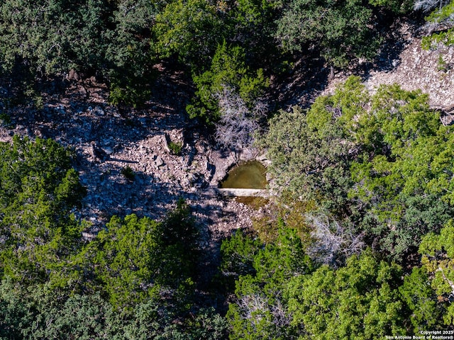 320 Overland Trl W, Hunt, TX 78024 - birds eye view of property