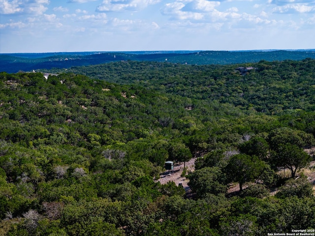320 Overland Trl W, Hunt, TX 78024 - bird's eye view with a view of trees