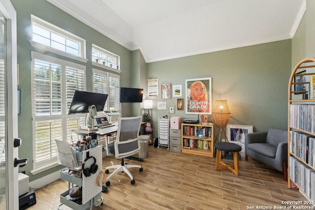 2047 Thicket Trail Dr, San Antonio, TX 78248 - office area with high vaulted ceiling, crown molding, and wood finished floors