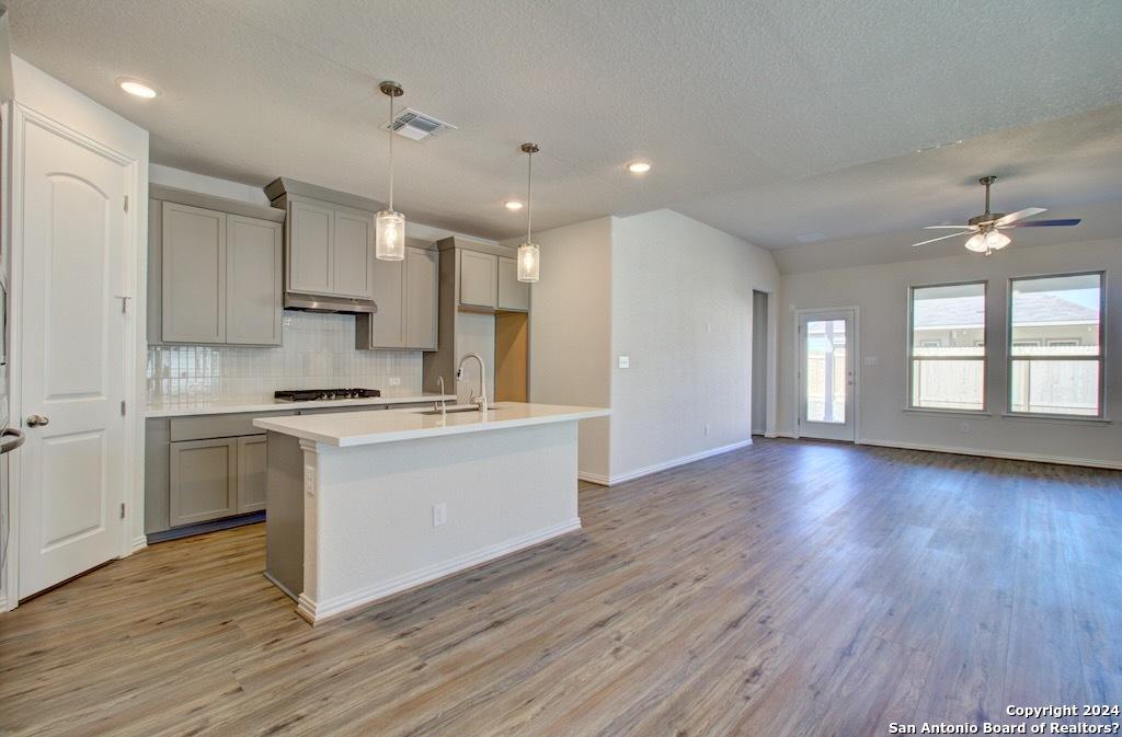 2088 Adeline Way, New Braunfels, TX 78130 - kitchen featuring gray cabinets, backsplash, light wood-style floors, visible vents, and a sink