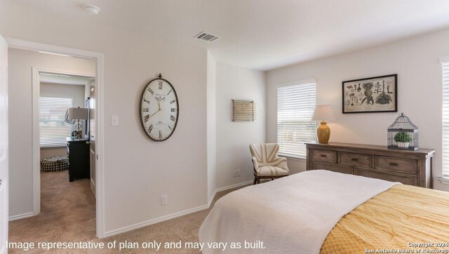 1147 Andean Emerald, San Antonio, TX 78253 - carpeted bedroom featuring visible vents, baseboards, and multiple windows
