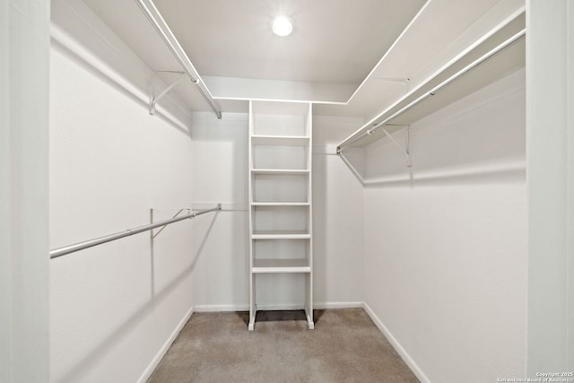 5359 Fredericksburg Rd Unit 808, San Antonio, TX 78229 - walk in closet featuring light colored carpet