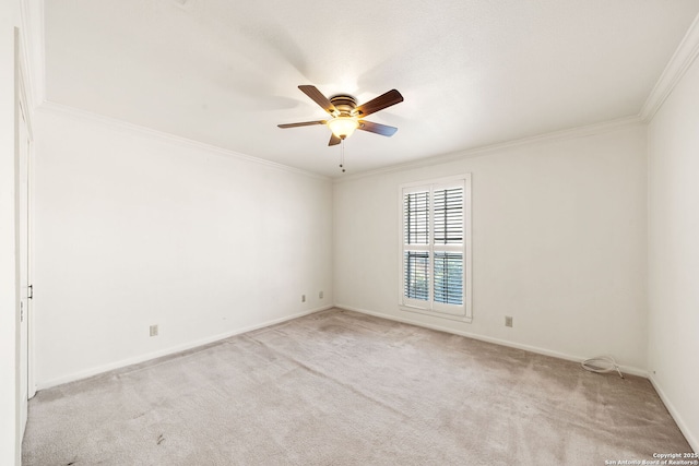 5359 Fredericksburg Rd Unit 808, San Antonio, TX 78229 - spare room featuring baseboards, a ceiling fan, carpet flooring, and ornamental molding