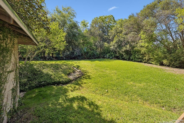 643 Terrell Rd, Terrell Hills, TX 78209 - view of green lawn
