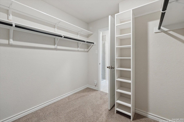 13506 Whisper Bnd, San Antonio, TX 78252 - walk in closet featuring carpet flooring