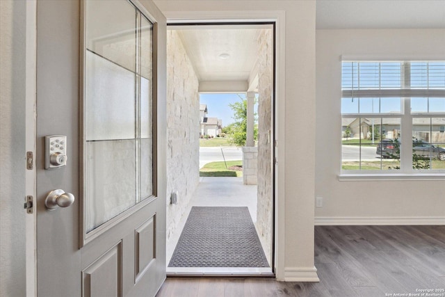 13506 Whisper Bnd, San Antonio, TX 78252 - foyer entrance with wood finished floors, baseboards, and plenty of natural light