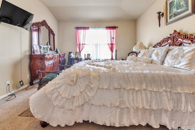 8926 Double Oak, San Antonio, TX 78254 - carpeted bedroom featuring lofted ceiling