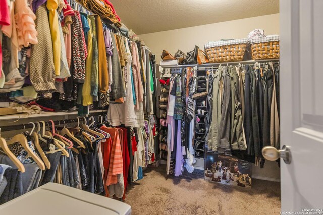 8926 Double Oak, San Antonio, TX 78254 - spacious closet with carpet floors