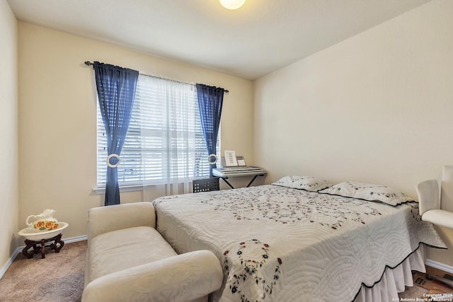8926 Double Oak, San Antonio, TX 78254 - bedroom with carpet and baseboards