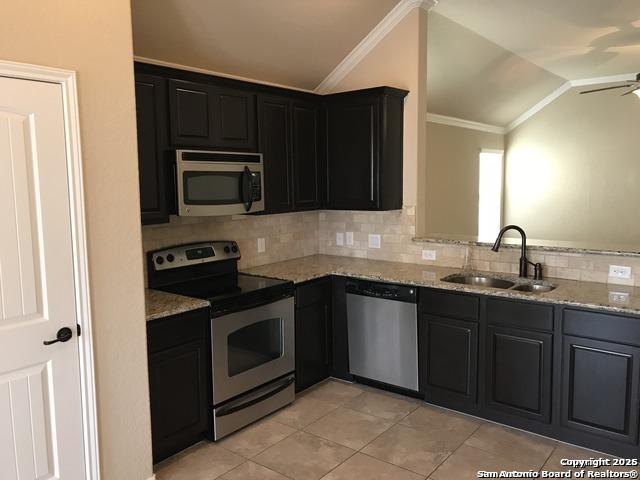 kitchen with tasteful backsplash, a sink, appliances with stainless steel finishes, dark cabinets, and vaulted ceiling