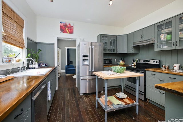 636 W Hollywood Ave, San Antonio, TX 78212 - kitchen with gray cabinets, under cabinet range hood, a sink, stainless steel appliances, and butcher block countertops
