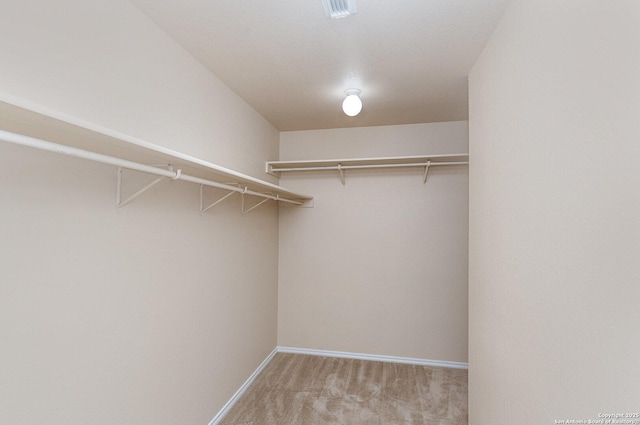 walk in closet with carpet floors