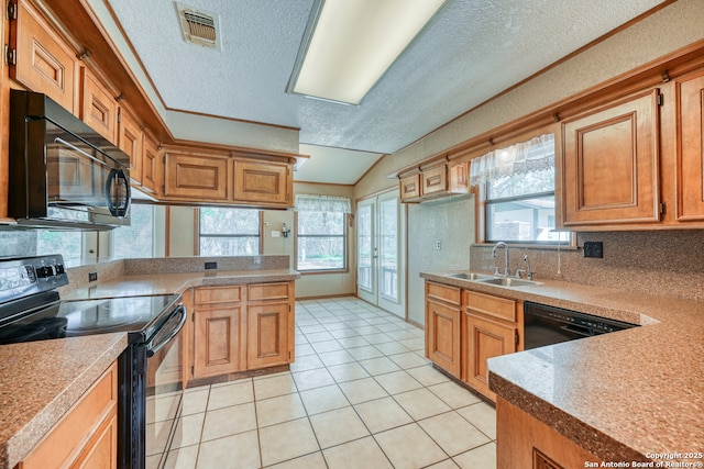 21440 Fm 306, Canyon Lake, TX 78133 - kitchen featuring visible vents, a sink, a textured ceiling, black appliances, and vaulted ceiling