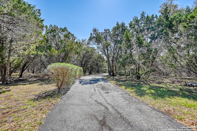 21440 Fm 306, Canyon Lake, TX 78133 - view of street