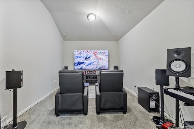 13324 Romulus Way, San Antonio, TX 78245 - carpeted office space with vaulted ceiling, baseboards, and a textured ceiling