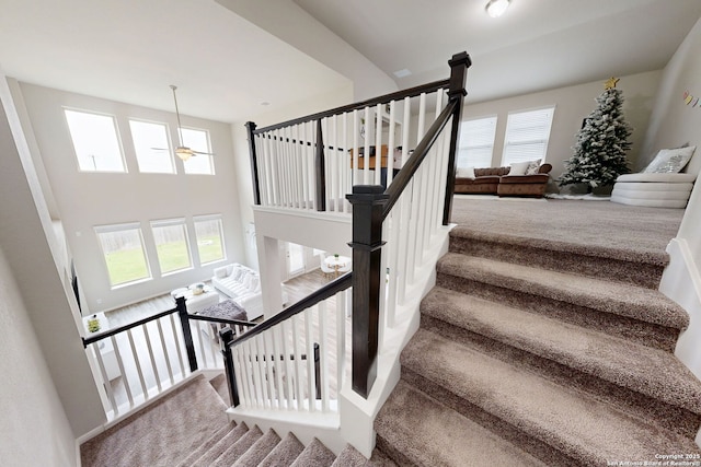 13324 Romulus Way, San Antonio, TX 78245 - stairs featuring carpet flooring and ceiling fan