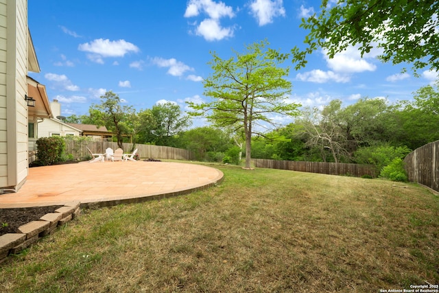 view of yard featuring a fenced backyard and a patio area