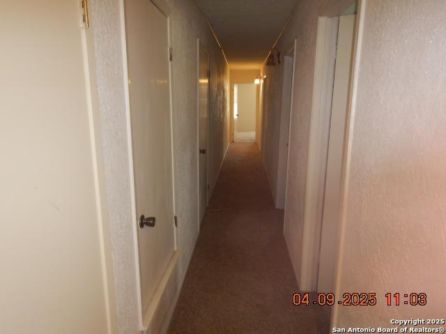 9704 Big Geronimo, San Antonio, TX 78254 - hallway with carpet