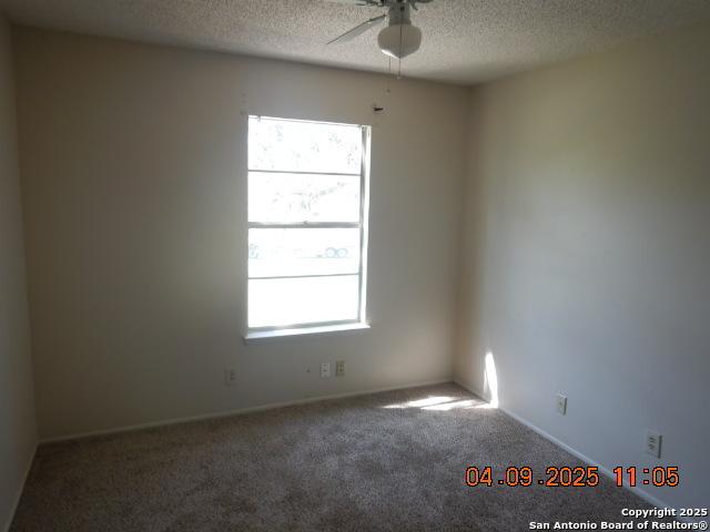 9704 Big Geronimo, San Antonio, TX 78254 - empty room with a wealth of natural light, carpet, a textured ceiling, and a ceiling fan