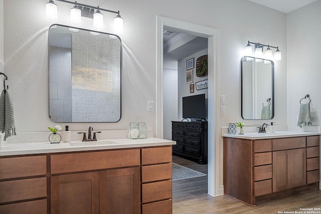 bathroom with wood finished floors, two vanities, and a sink