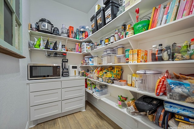 view of pantry