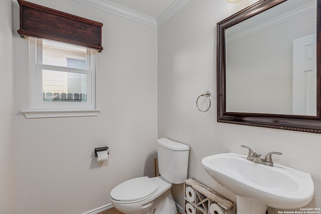 bathroom with toilet, ornamental molding, and a sink