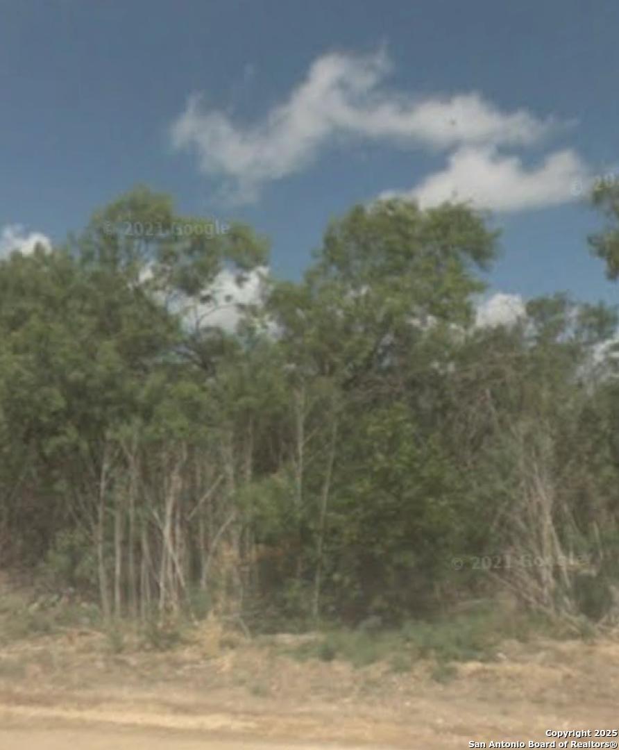 1303 Kayroe Rd, Adkins, TX 78101