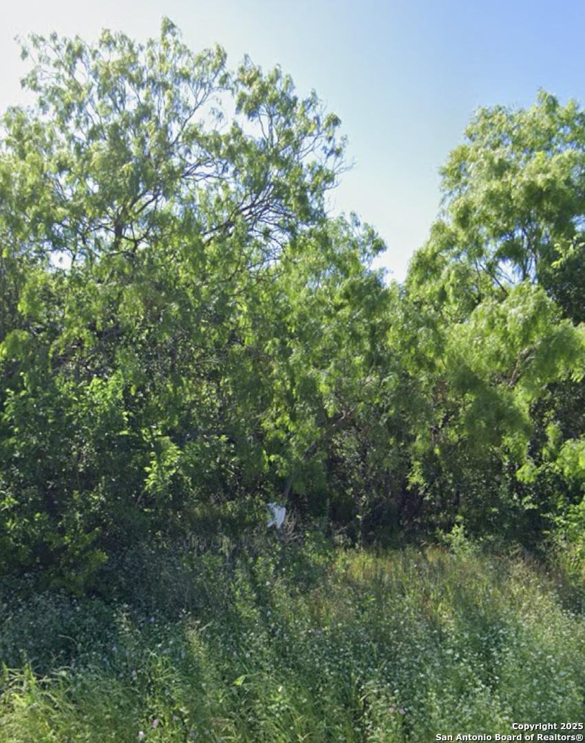 1303 Kayroe Rd, Adkins, TX 78101