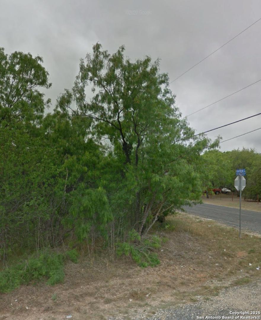 1303 Kayroe Rd, Adkins, TX 78101