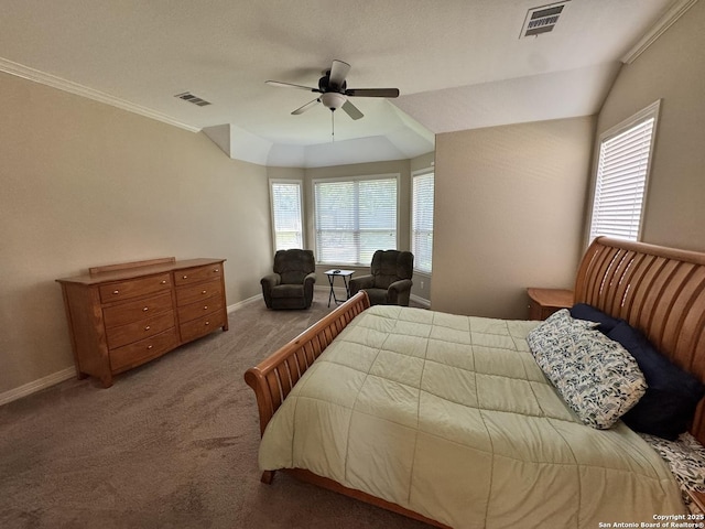 9035 Monument Parke, San Antonio, TX 78254 - bedroom with visible vents, carpet flooring, and multiple windows