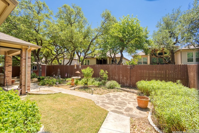 view of yard featuring a fenced backyard and a patio
